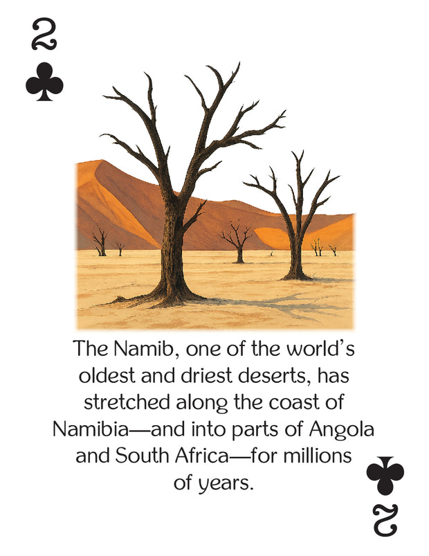 African Legends, Kingdoms & Stories (PRE-ORDER)